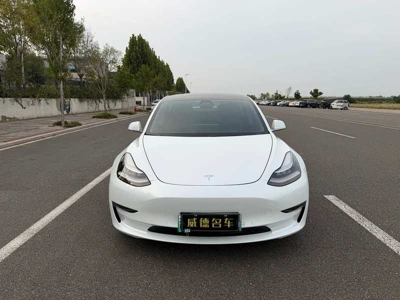 Tesla Model 3 — фото 2