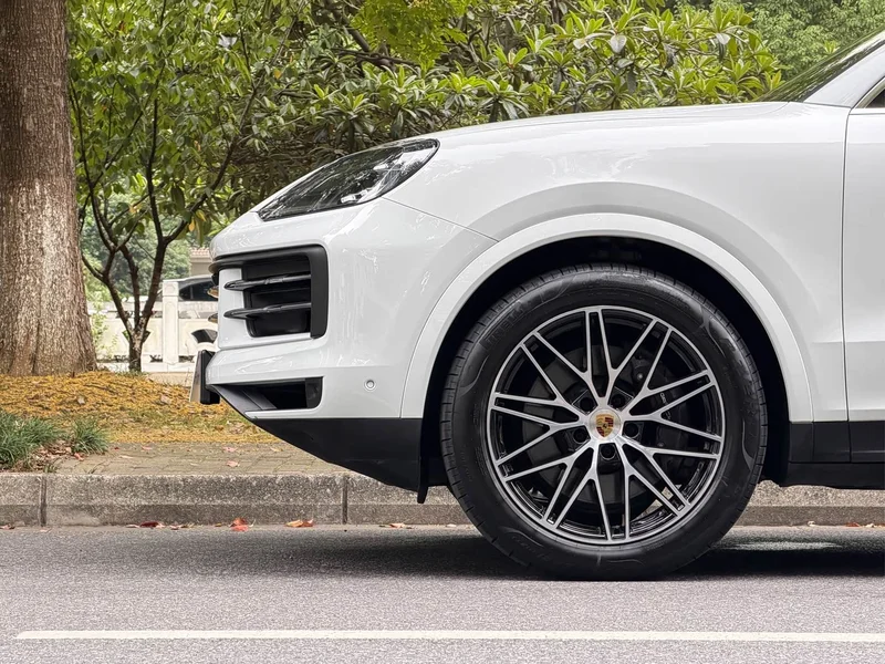 Porsche Cayenne — фото 26