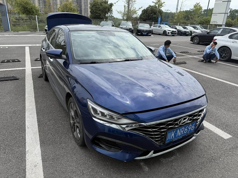 Hyundai Fista — фото 11