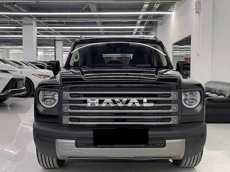 Haval Menglong New Energy — фото 2