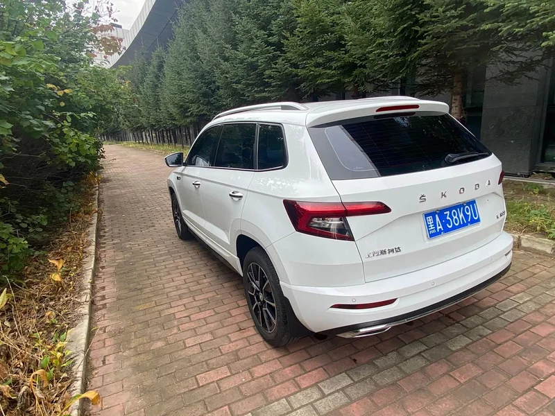 Skoda Karoq — фото 4