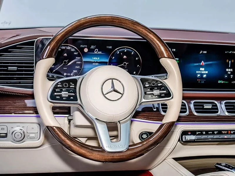 Mercedes-Benz Maybach — фото 25