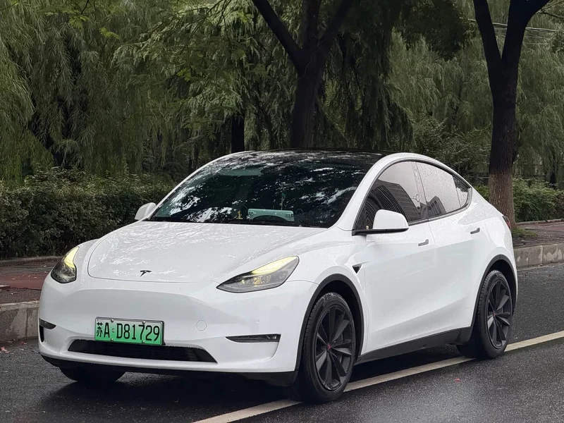Tesla Model Y — фото 1