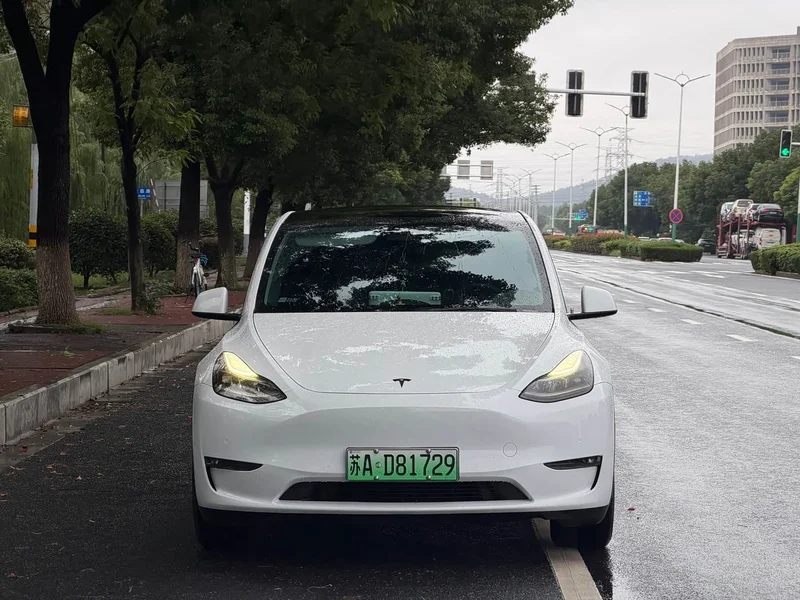 Tesla Model Y — фото 2