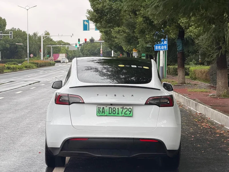 Tesla Model Y — фото 5