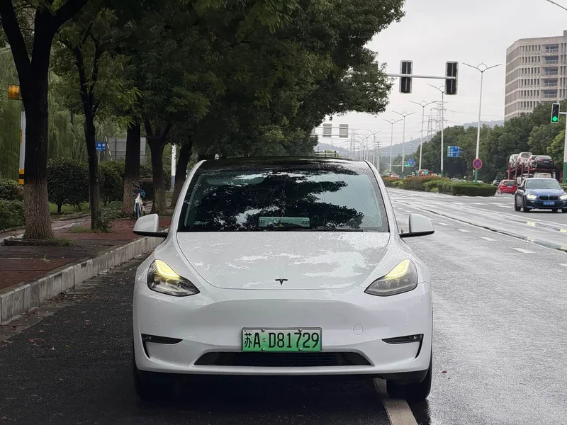 Tesla Model Y — фото 9