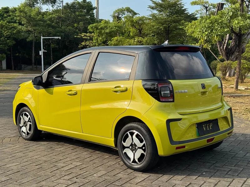 Baojun Flower Fairy — фото 13