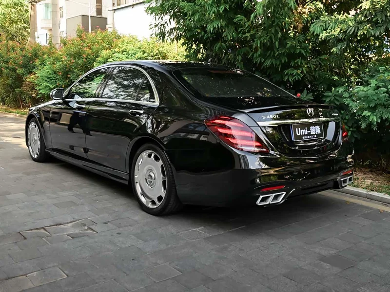 Carlsson S-Class — фото 22