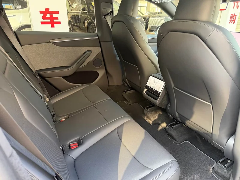 Tesla Model Y — фото 11
