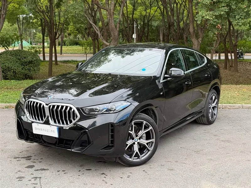 BMW X6 — фото 1