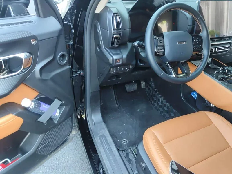 Haval Dagou PLUS New Energy — фото 17