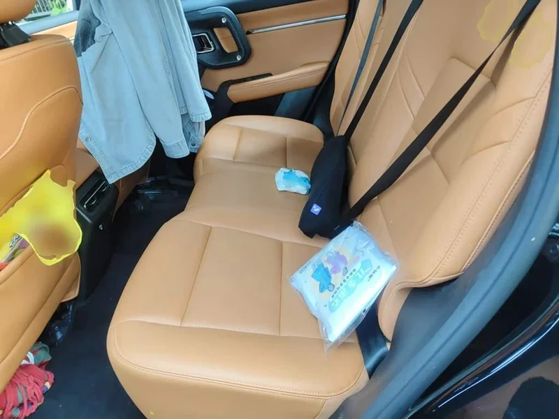 Haval Dagou PLUS New Energy — фото 18