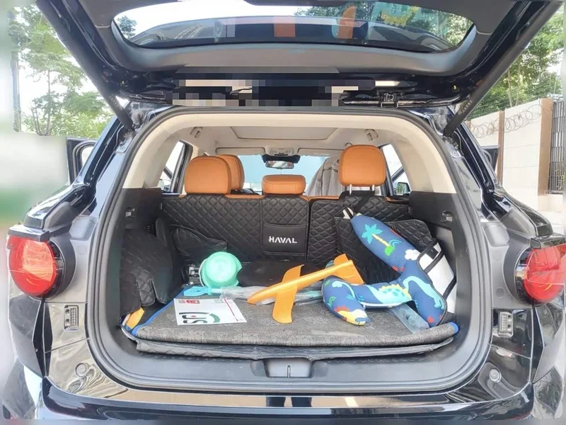 Haval Dagou PLUS New Energy — фото 20