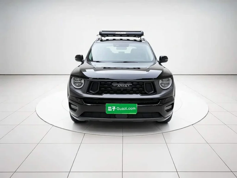 Haval Dagou PLUS New Energy — фото 2