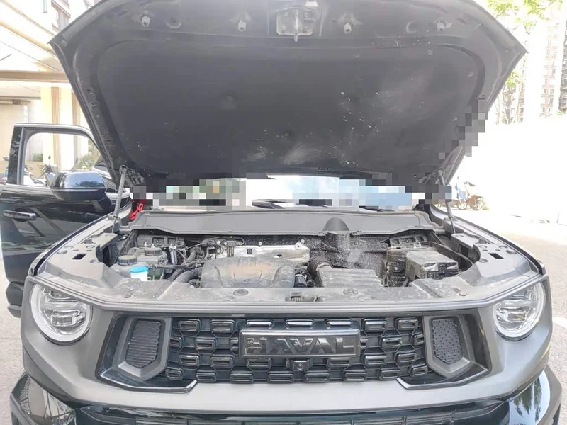 Haval Dagou PLUS New Energy — фото 21