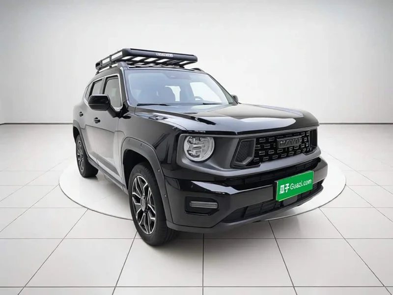 Haval Dagou PLUS New Energy — фото 3