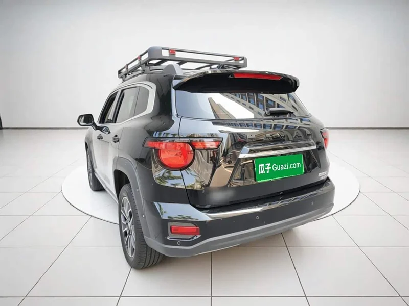 Haval Dagou PLUS New Energy — фото 4