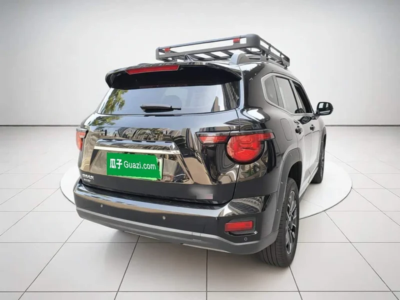 Haval Dagou PLUS New Energy — фото 6