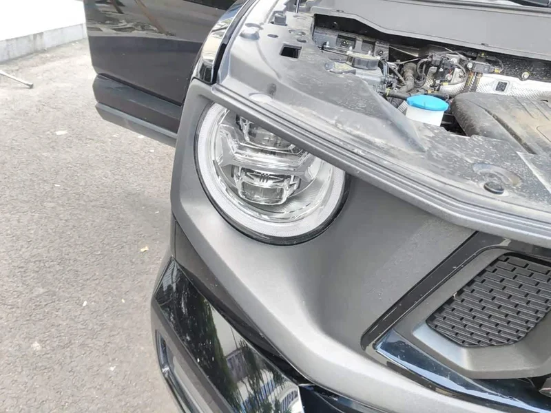 Haval Dagou PLUS New Energy — фото 7