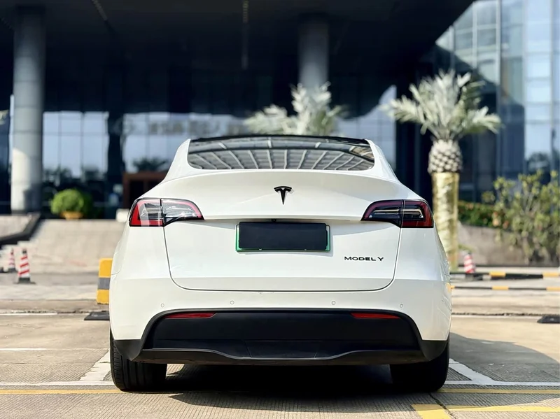Tesla Model Y — фото 16
