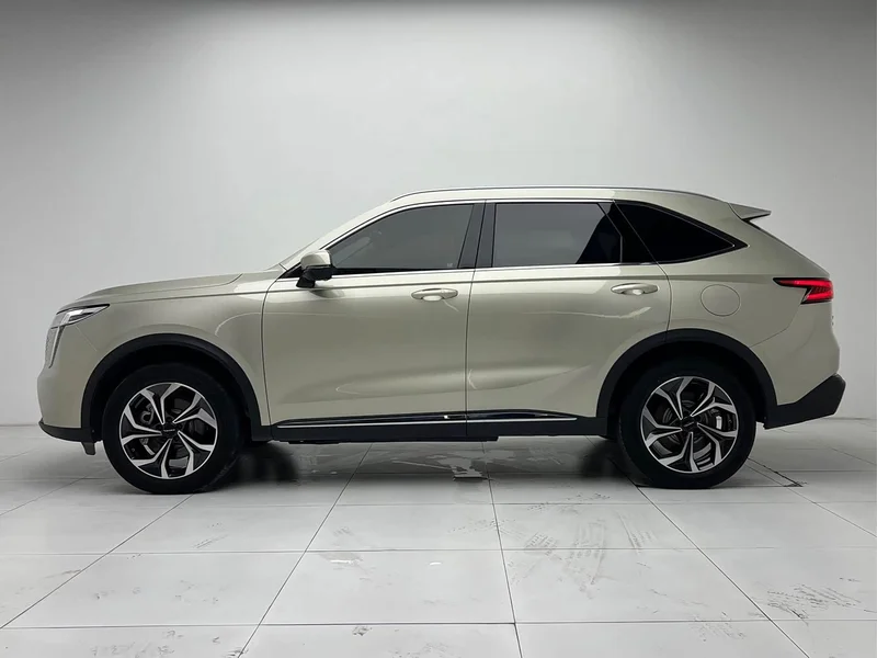 Haval Xiaolong MAX — фото 24