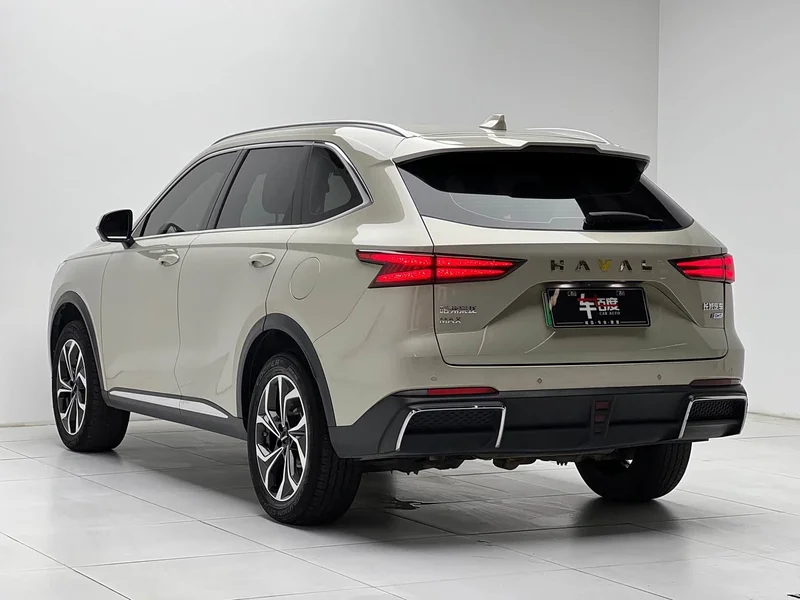 Haval Xiaolong MAX — фото 6