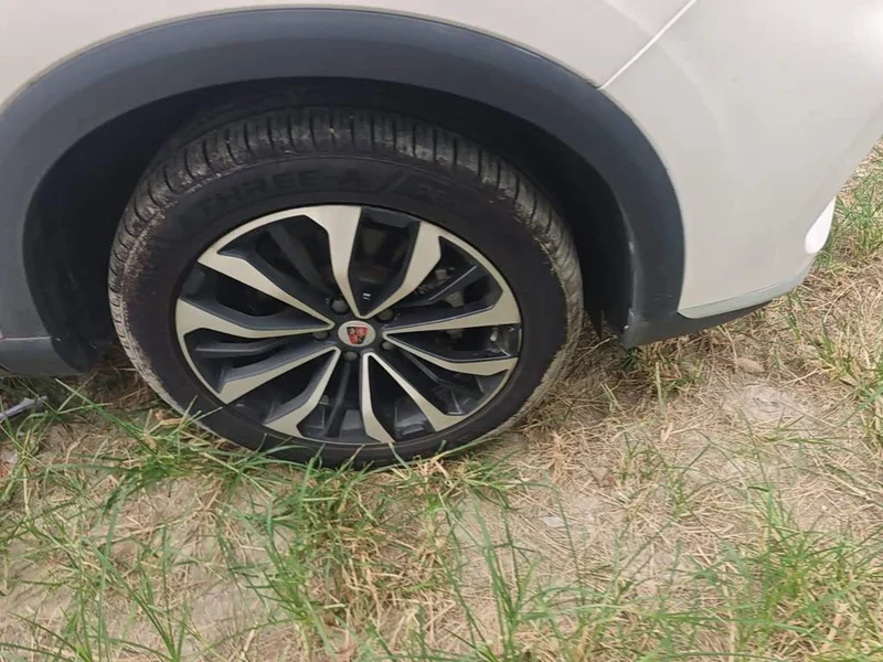 Roewe RX5 eMAX — фото 8