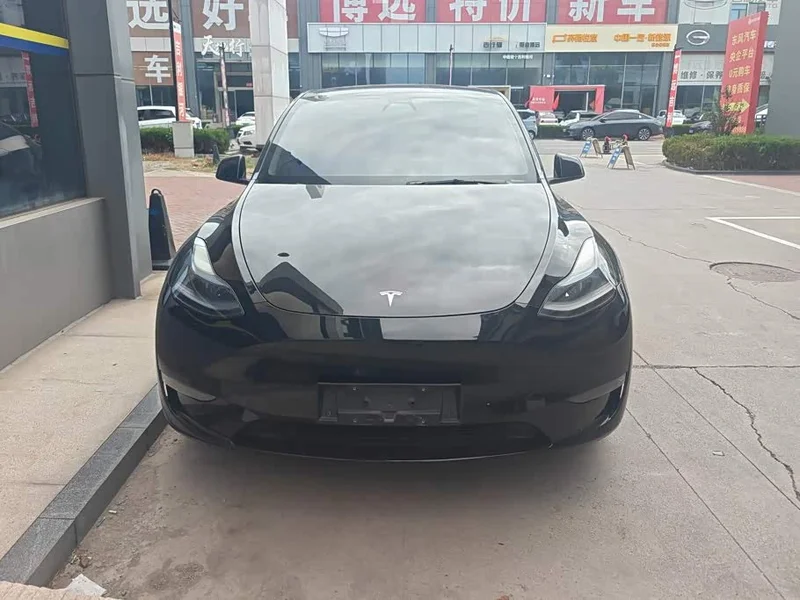 Tesla Model Y — фото 2