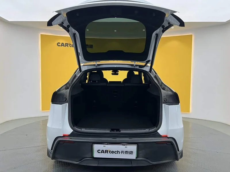 Tesla Model Y — фото 12