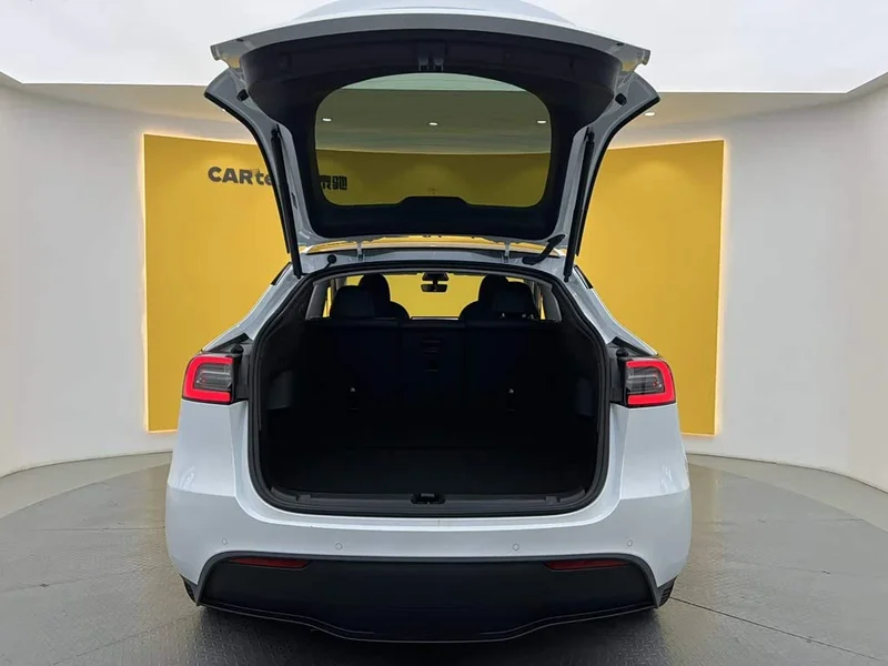 Tesla Model Y — фото 13