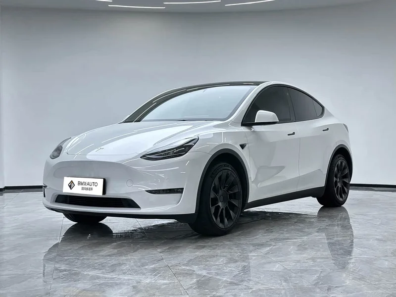 Tesla Model Y — фото 1