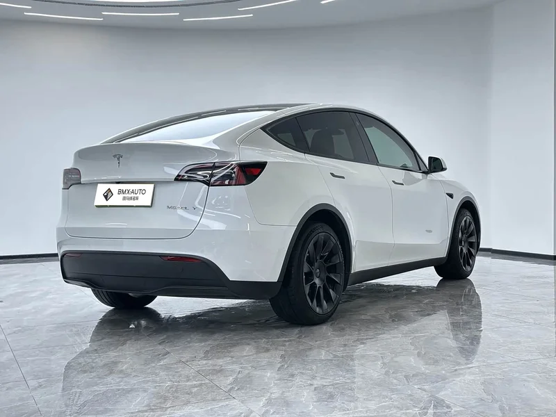 Tesla Model Y — фото 3