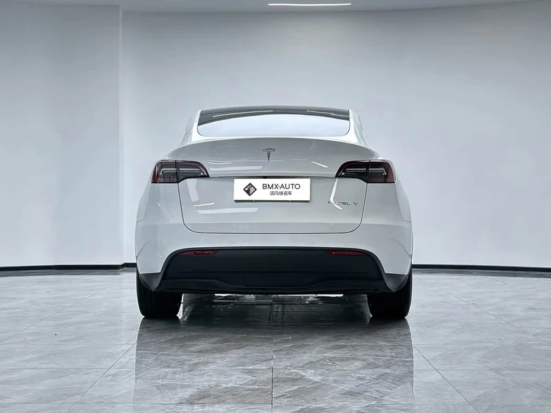 Tesla Model Y — фото 7