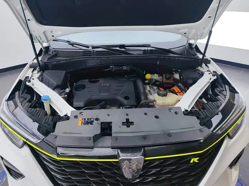 Roewe RX5 New Energy — фото 10
