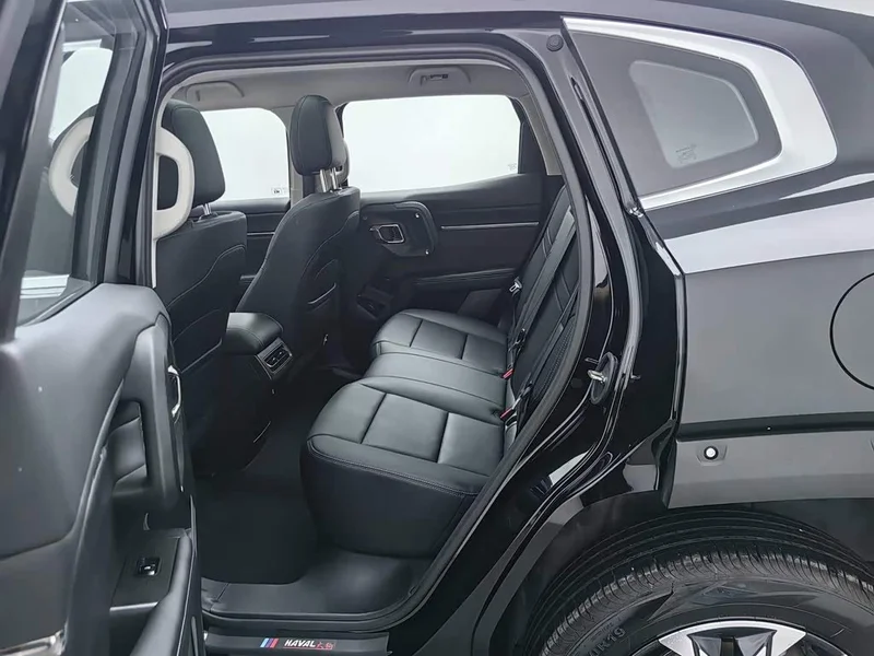 Haval Dagou PLUS — фото 15