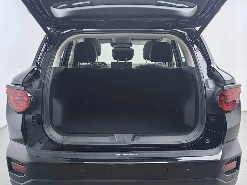 Haval Dagou PLUS — фото 16