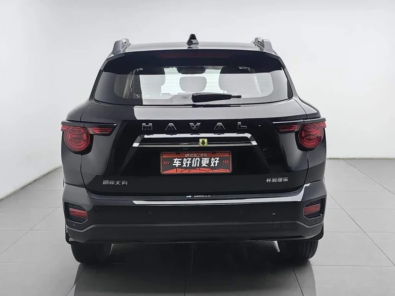 Haval Dagou PLUS — фото 4