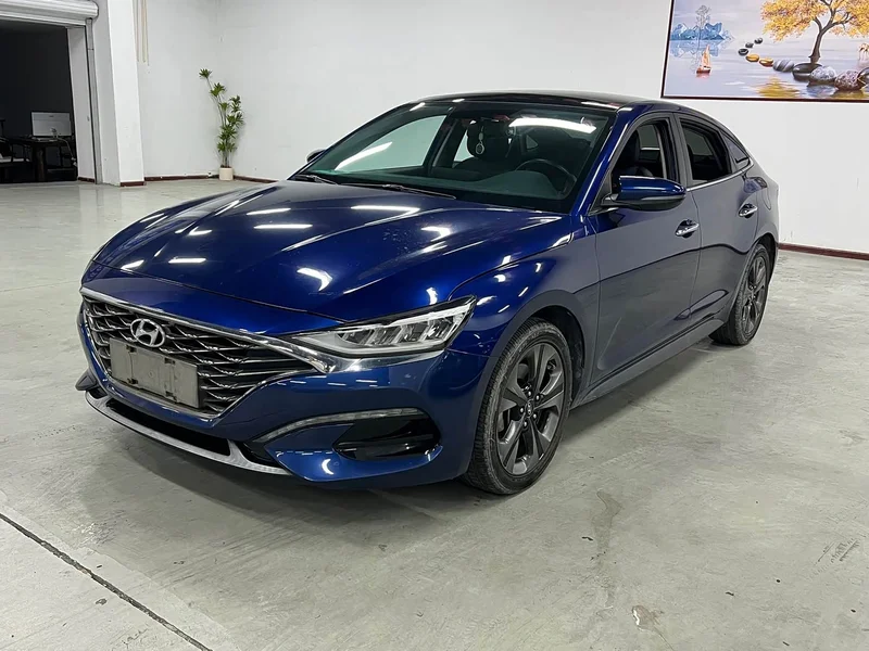 Hyundai Fista — фото 1