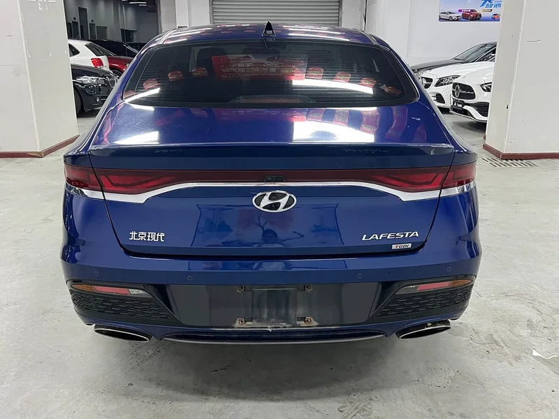 Hyundai Fista — фото 14