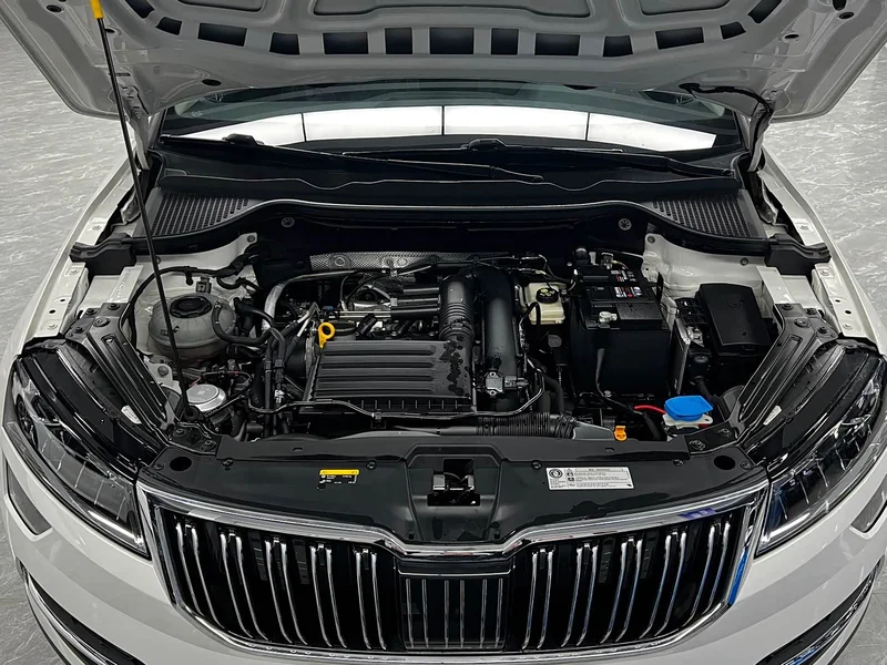 Skoda Karoq — фото 28