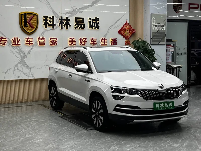 Skoda Karoq — фото 3