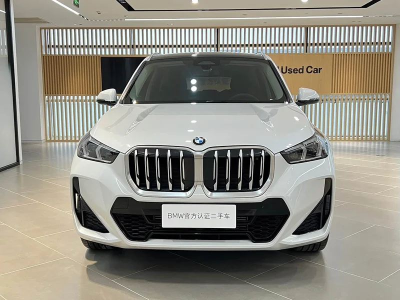 BMW X1 — фото 2