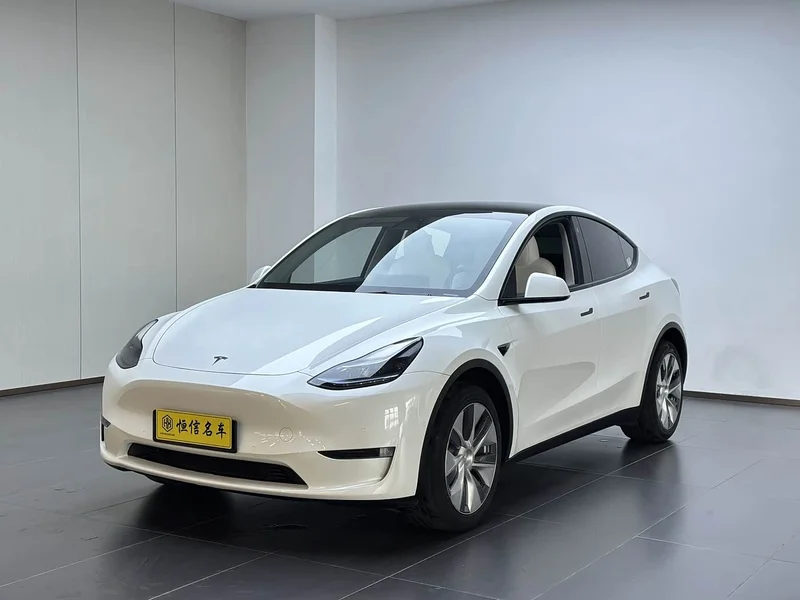 Tesla Model Y — фото 1