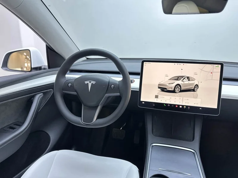 Tesla Model Y — фото 18