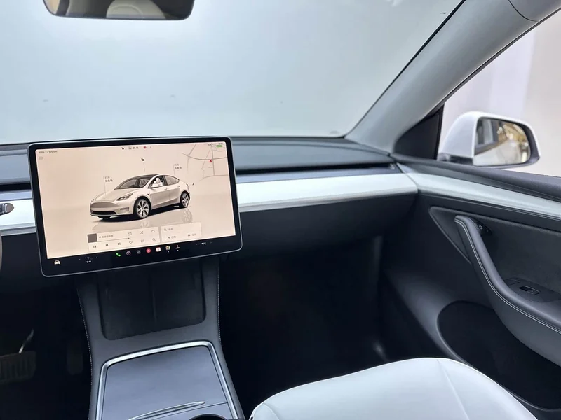Tesla Model Y — фото 19