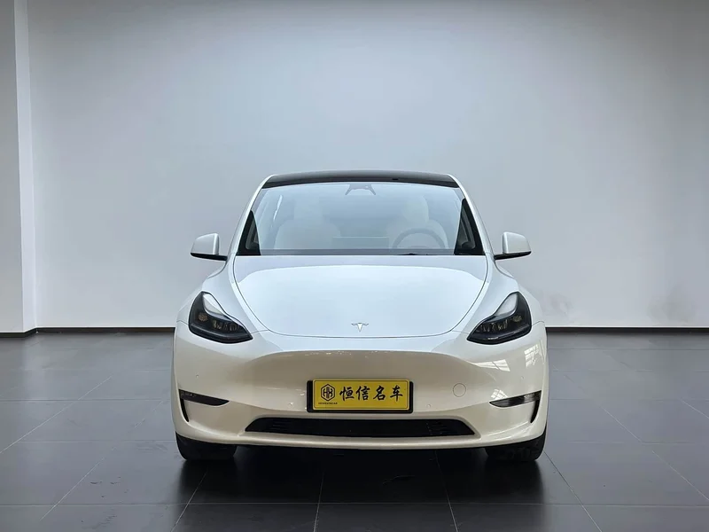 Tesla Model Y — фото 2