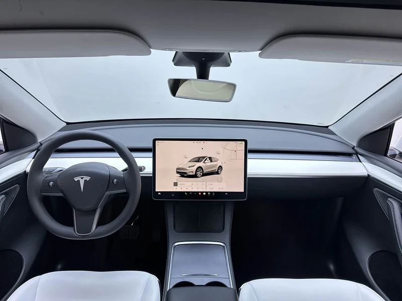 Tesla Model Y — фото 21