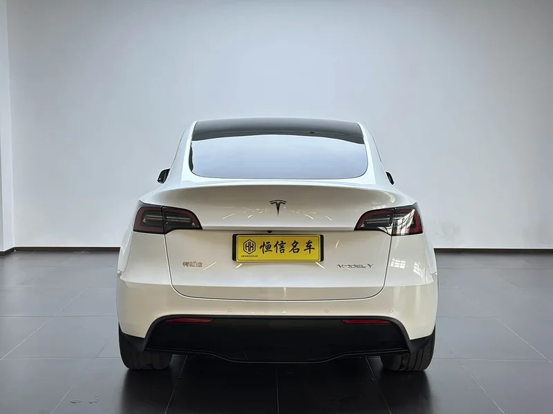 Tesla Model Y — фото 4