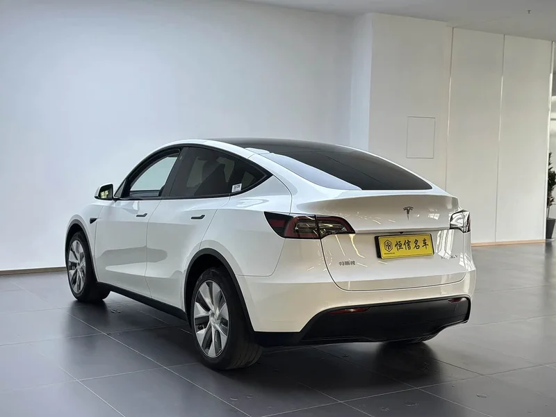Tesla Model Y — фото 5