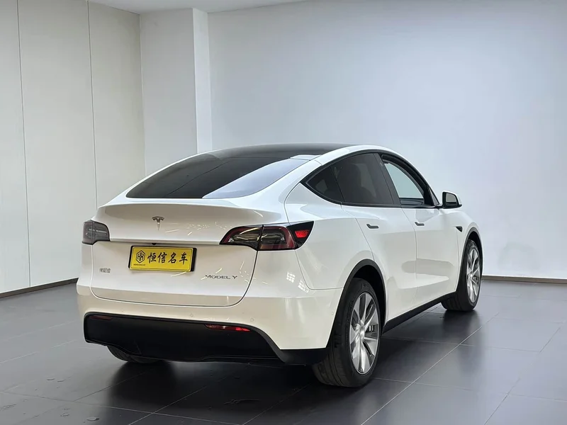 Tesla Model Y — фото 6